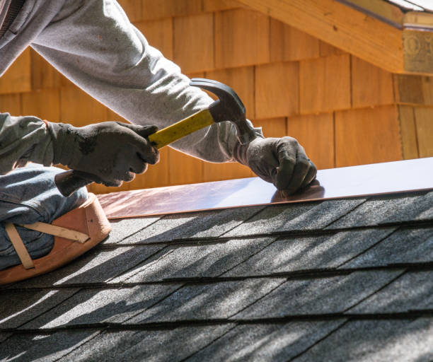 Best Roof Gutter Cleaning  in Orwell, OH